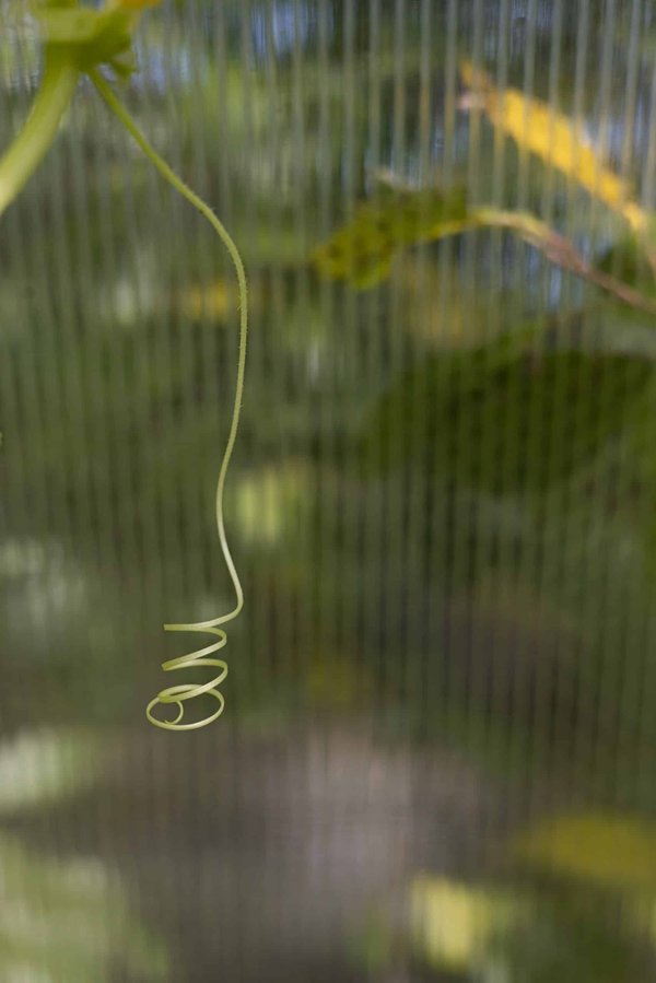 How Can Real Estate Portfolios Be Adapted to Cater to the Rise in E-Commerce Warehousing Needs?