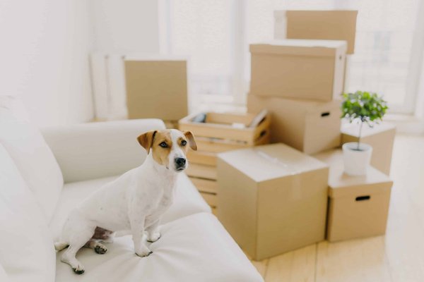 How to Select and Style Moisture-Wicking Dress Pants for Long Days at the Office?