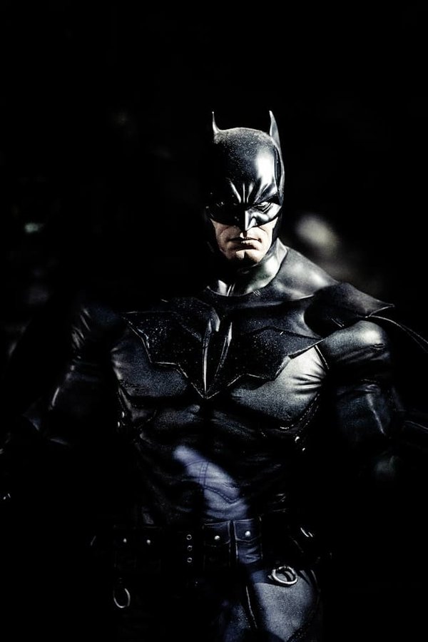 How to Train a Dog to Navigate Agility Courses with Precision and Confidence?